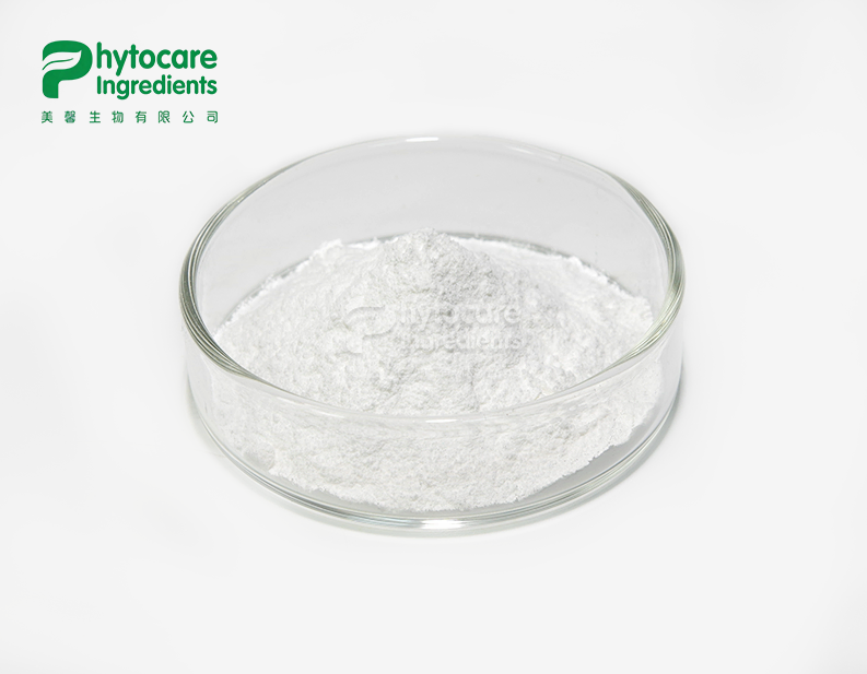 Sodium Hyaluronate Powder